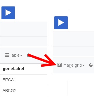 Image Grid query 1