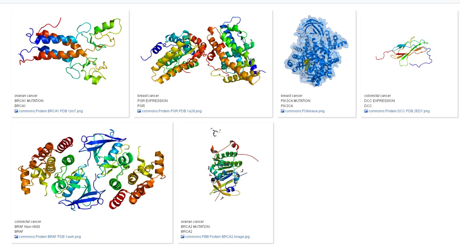 Image example query 1